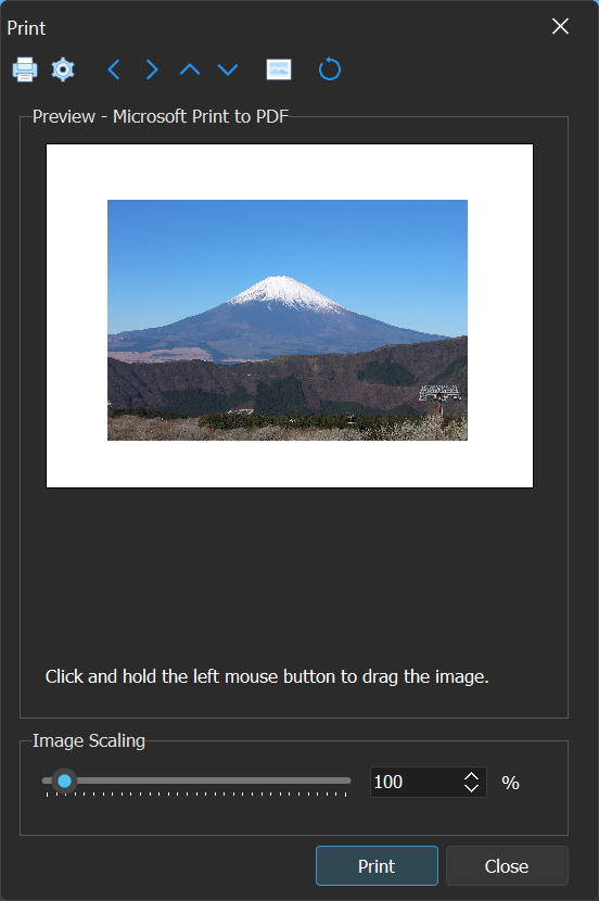The Print Image dialog box.